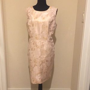Katherine Kelly women Dress